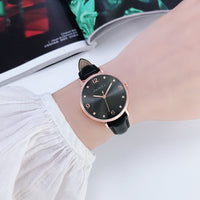 AriaLuxe Coldwind Minimalist Lady Watch - Elegant Quartz Timepiece
