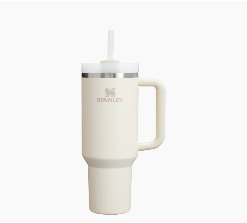 Stainless Steel Insulated Tumbler with Handle