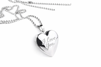 Love Heart Heart Pendant Necklace